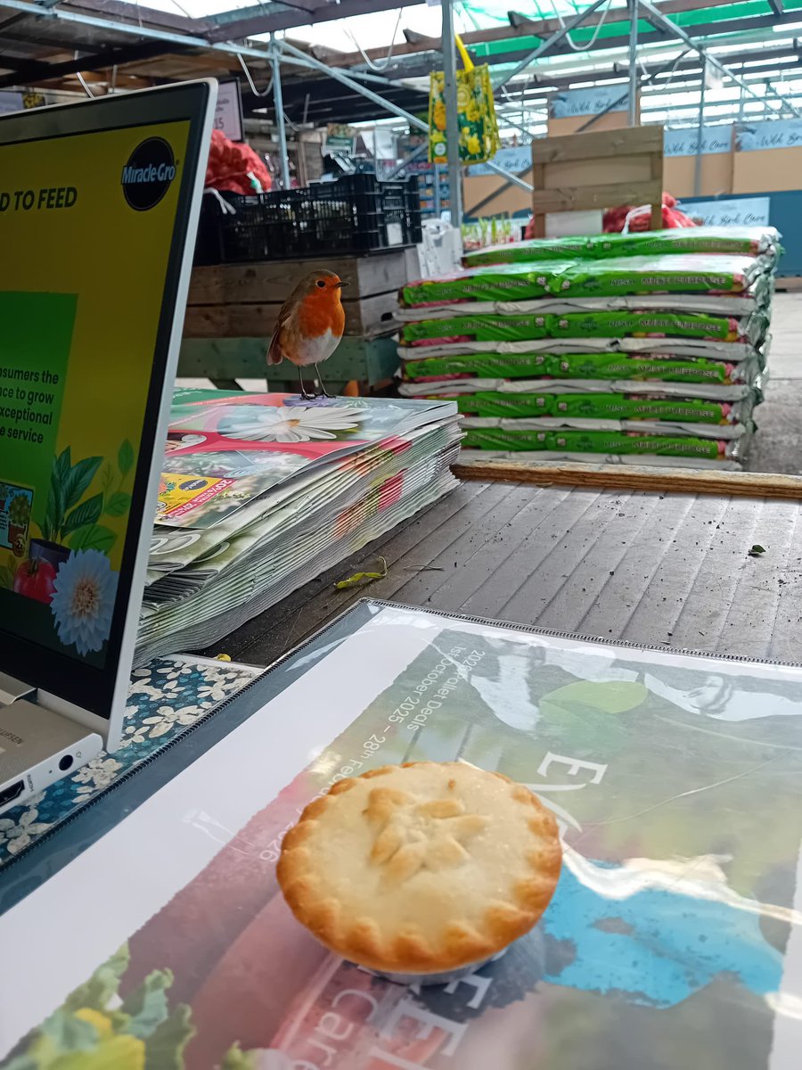 Phil Park tweet media