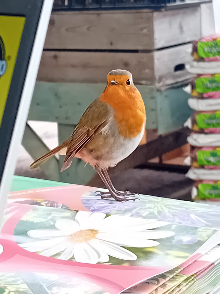 Phil Park tweet media