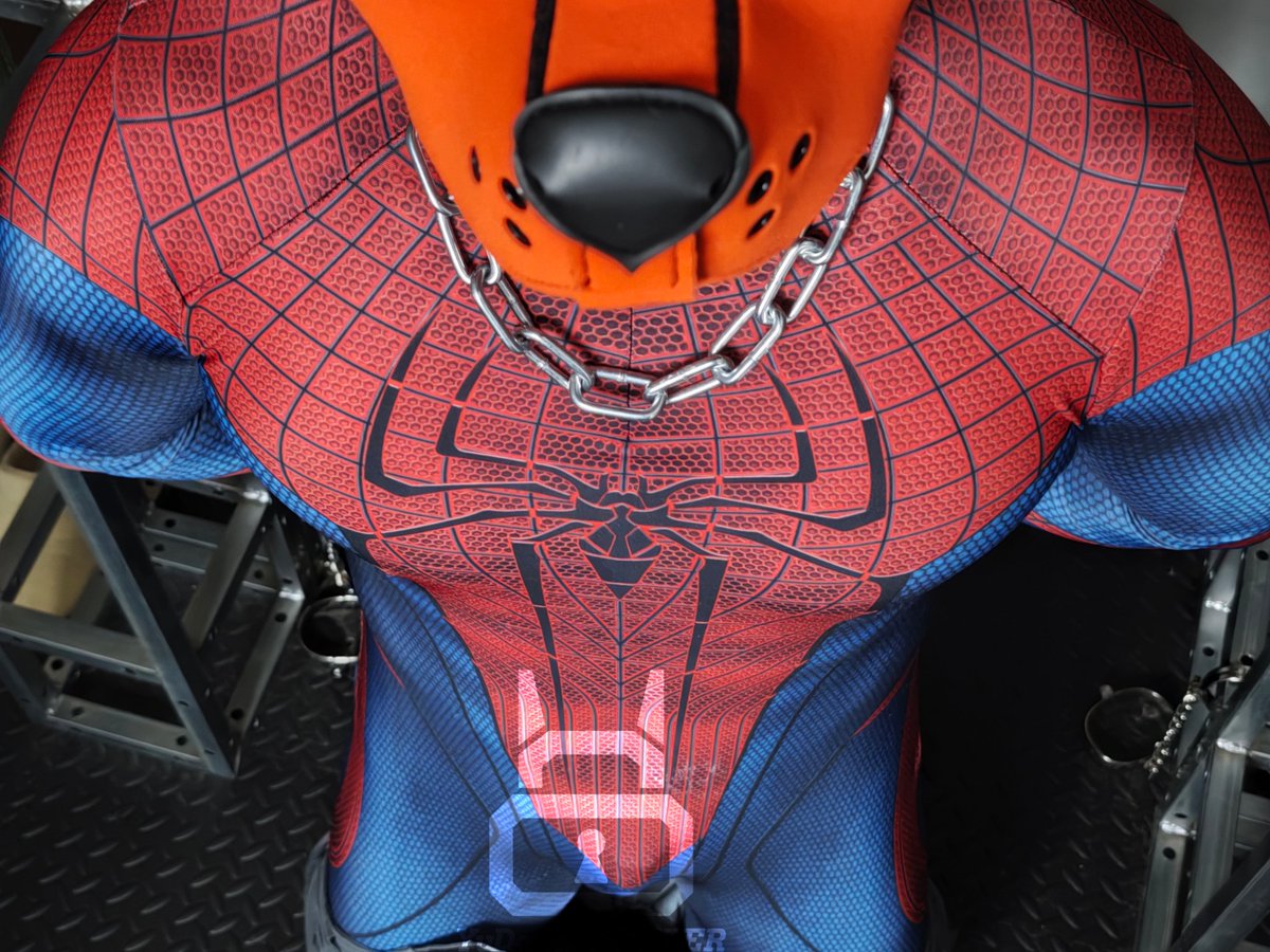 你喜欢哪个视角？