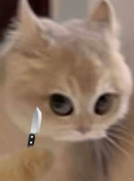 Wony-cchi! tweet media