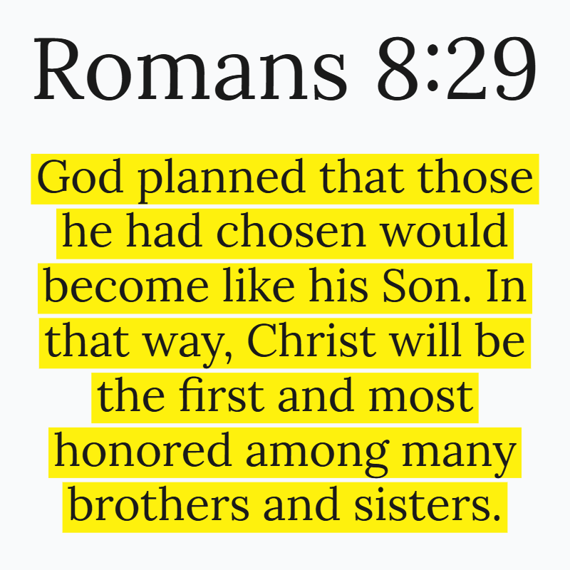 Holy Bible (@holybibleposts) on Twitter photo 