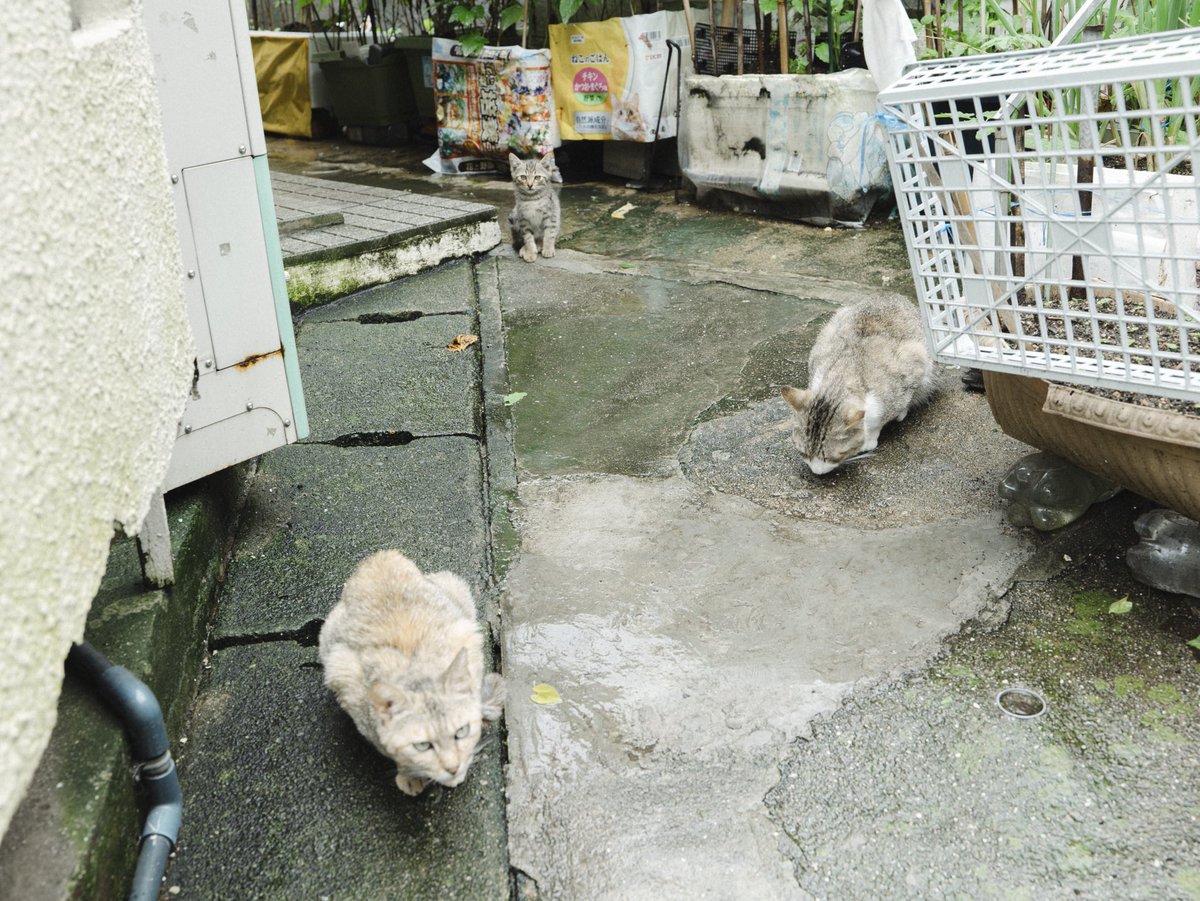 ゆーき (@__yuki0731) on Twitter photo 