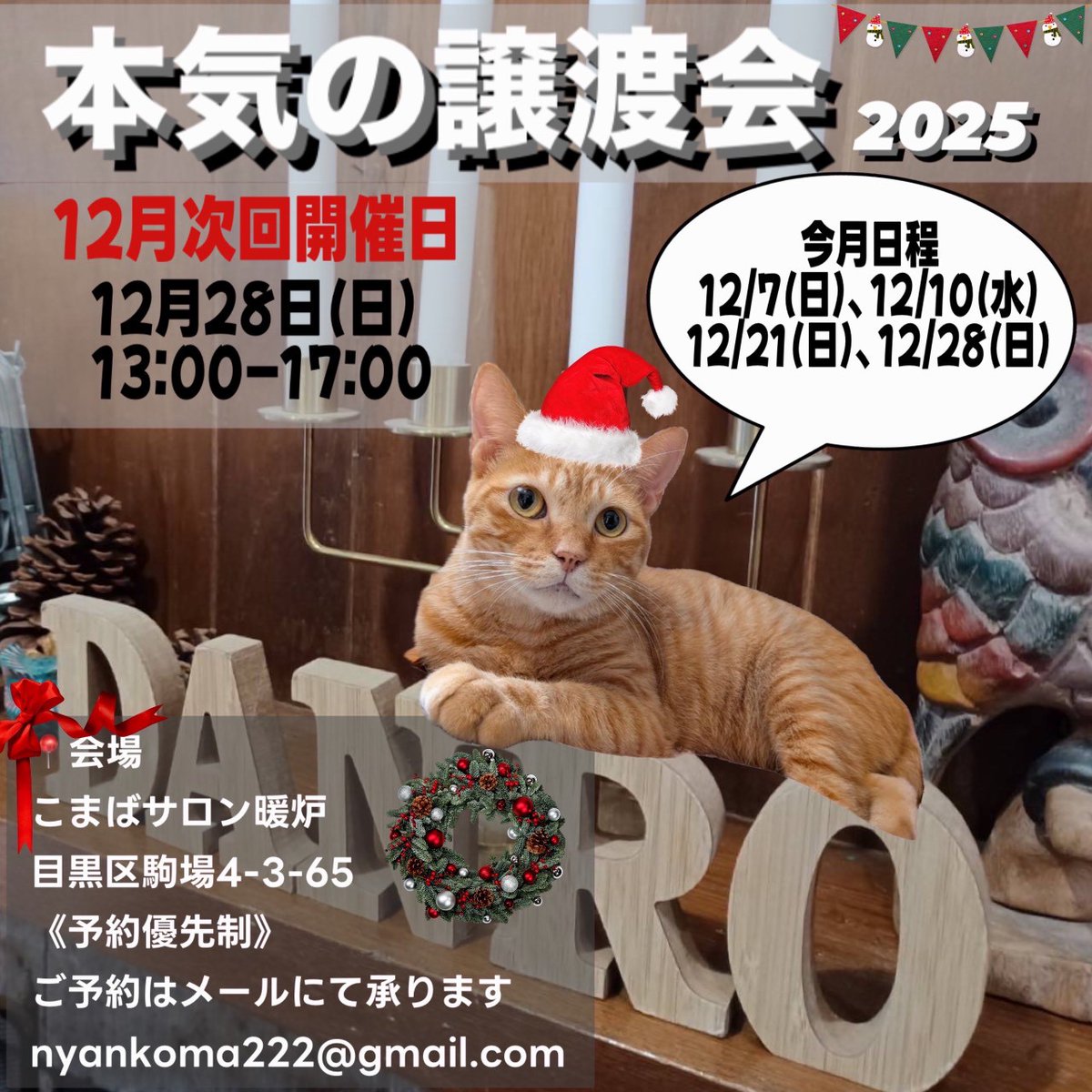 yoko fujita (@keitotochiyo) / Posts / X