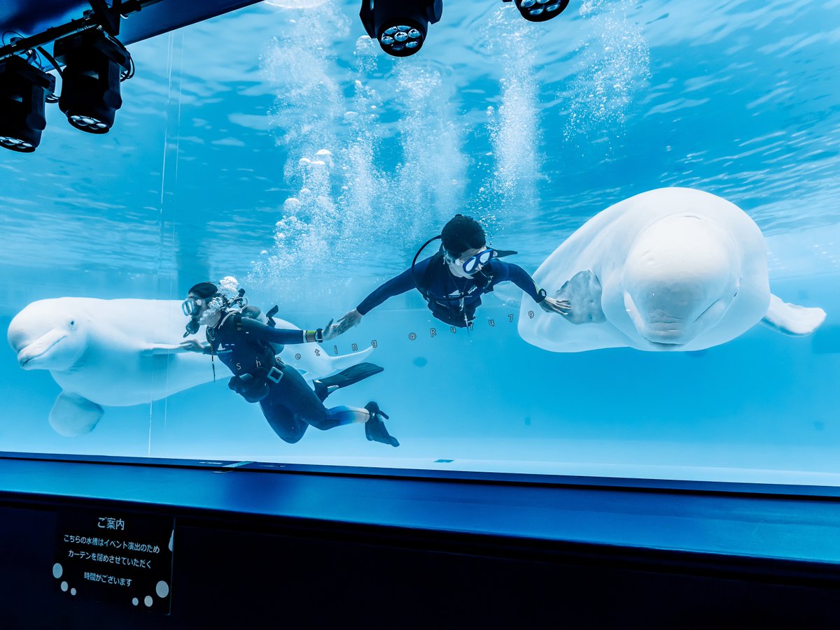 るるなっく (@ruru79) / Posts / X