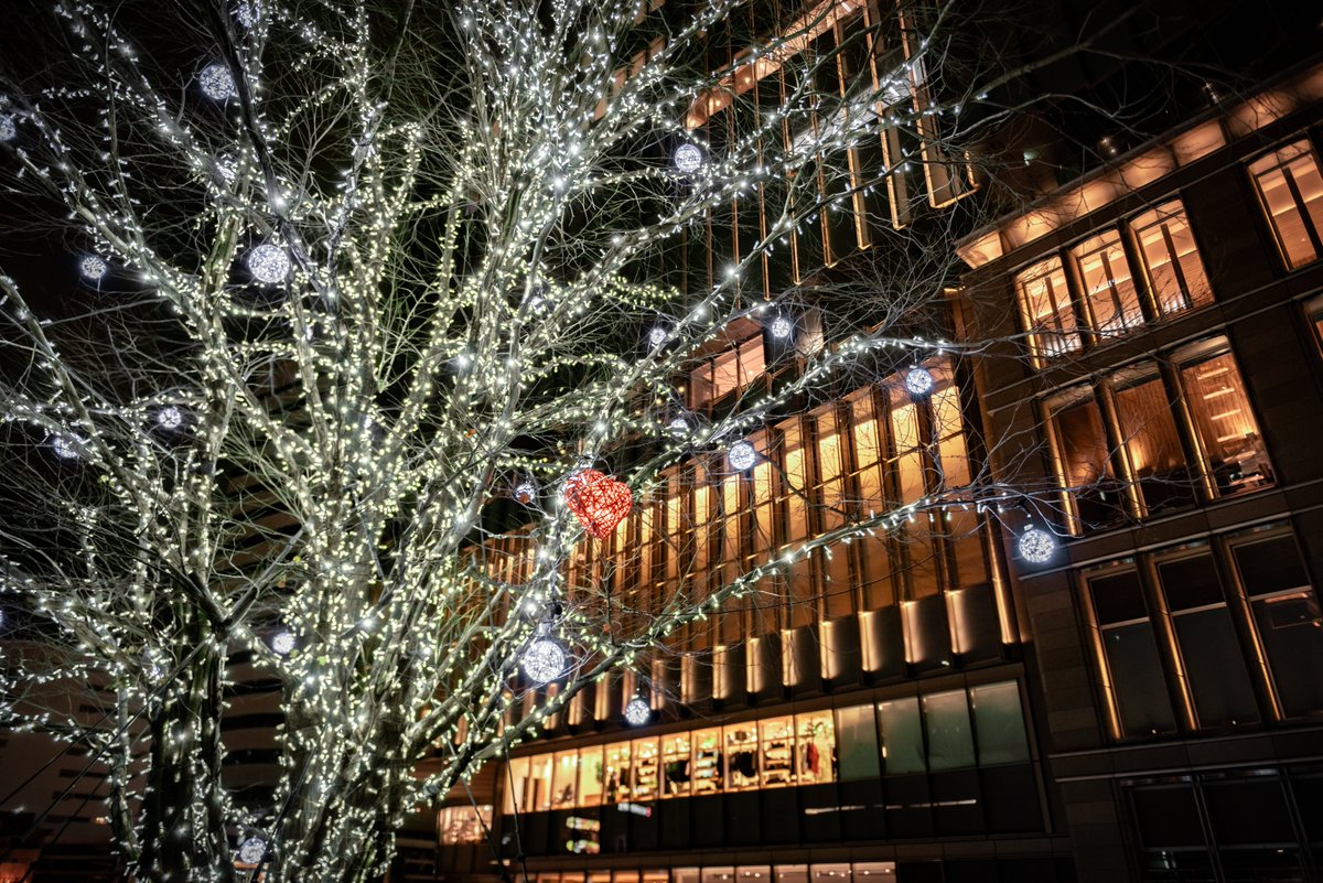 muto_photo's tweet image. 街が光で溢れる季節