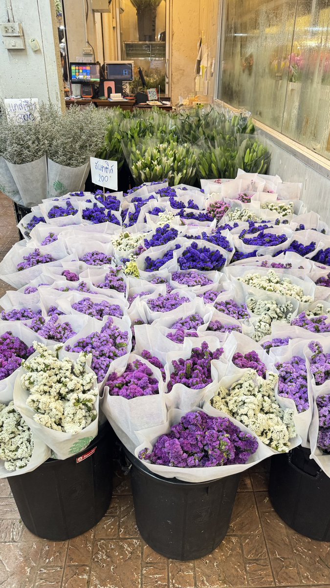 til_xn's tweet photo. Flowers https://t.co/wH0ri1tWO1