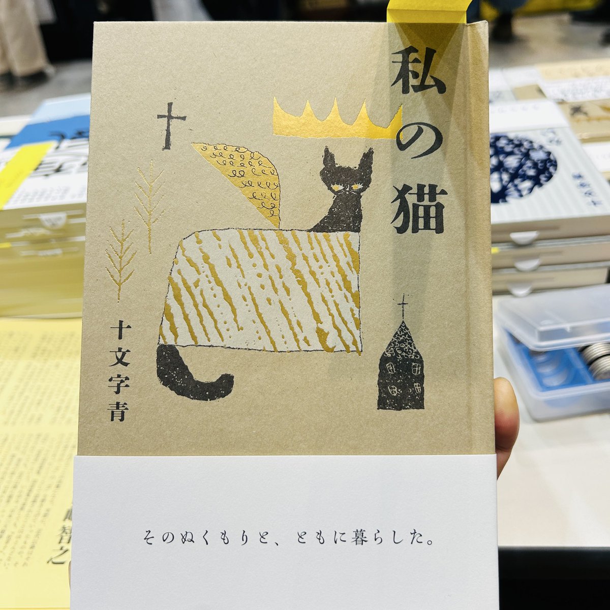 直筆サイン(ナイツ、いとうあさこ、東京03、U時工事、響) 直筆サイン(ナイツ、いとうあさこ、東京03、U時工事、響)