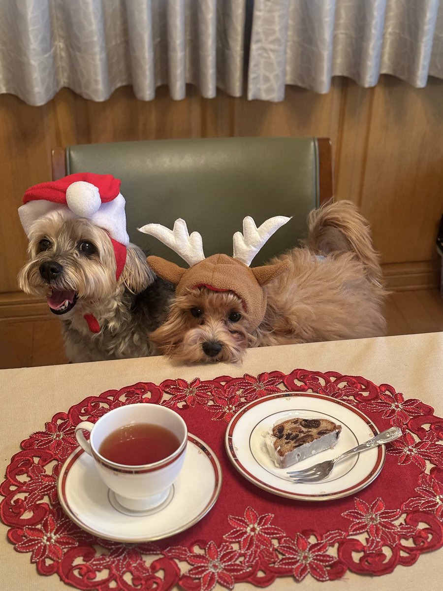 らっちゃんズ (@RawMeat_Lover) / Posts / X