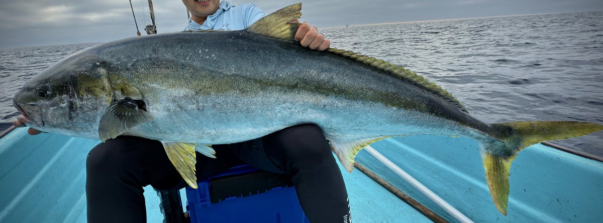 7oru (@7oru_Blue) / Posts / X