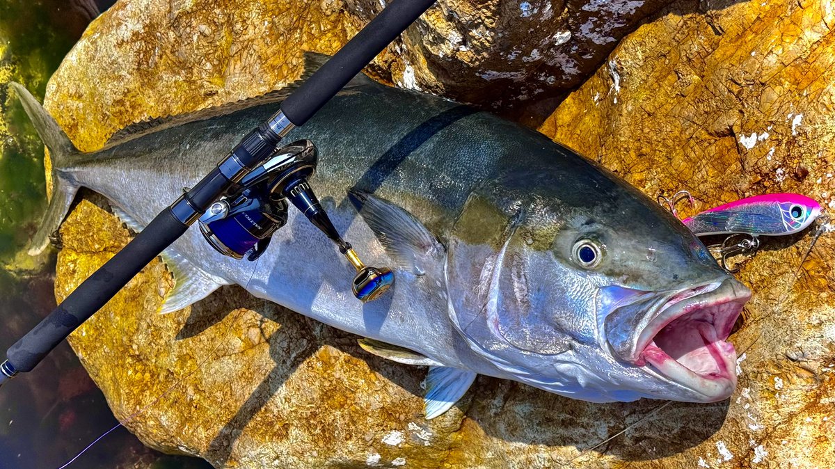 yuru様❉˖* ONLINE UPDATE -New Products- @the_deluxe_supply 【THE DELUXE