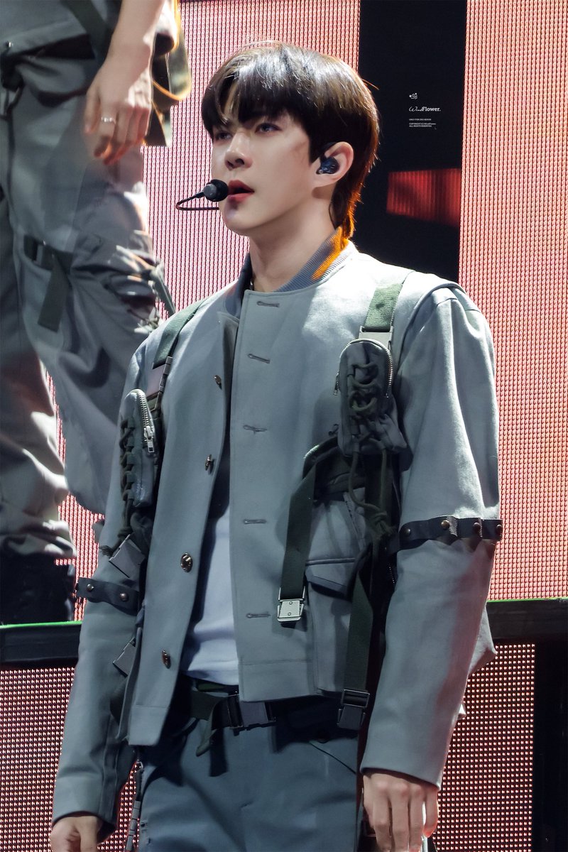 WindFlower tweet media