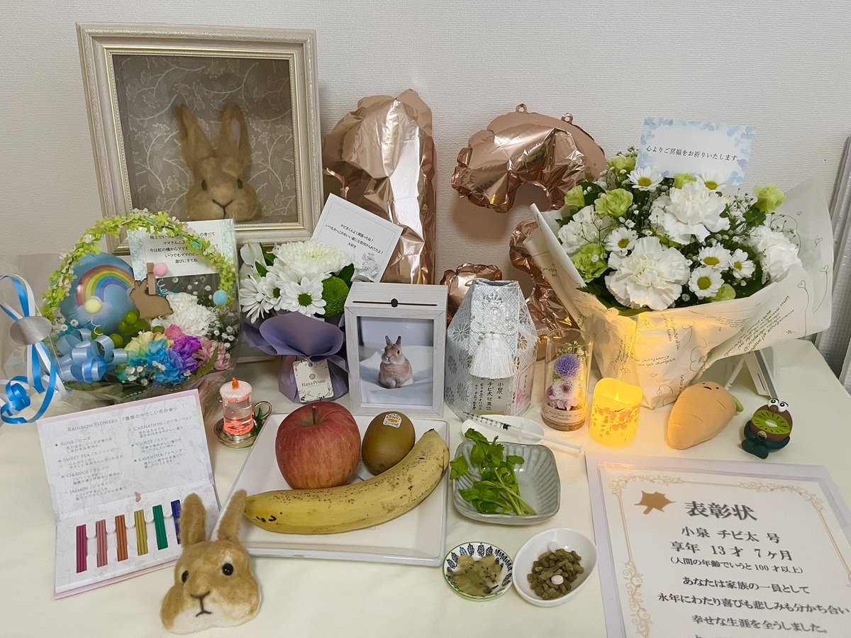 チビ太(CHIBITA🐰)のママ太 (@piccolocibi) / Posts / X