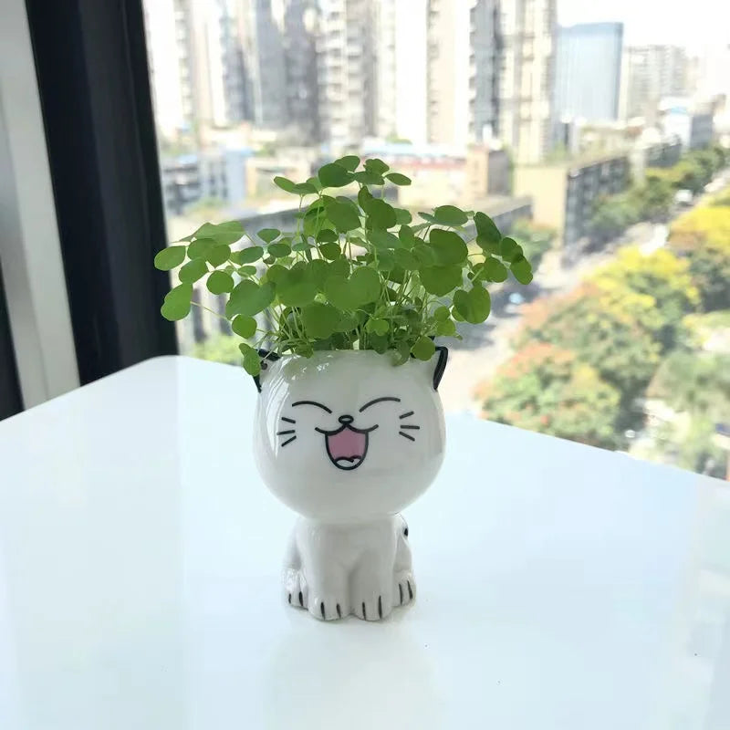Kryptonite_Q's tweet photo. I just received White Ceramic Cute Cat Cartoon Plant Pot (Various Expressions) - Super Happy by Cosy Realm from funbunfunbun via Throne. Thank you! https://t.co/gekxFuvCcN #Wishlist #throne https://t.co/YmdkZ1UZjA