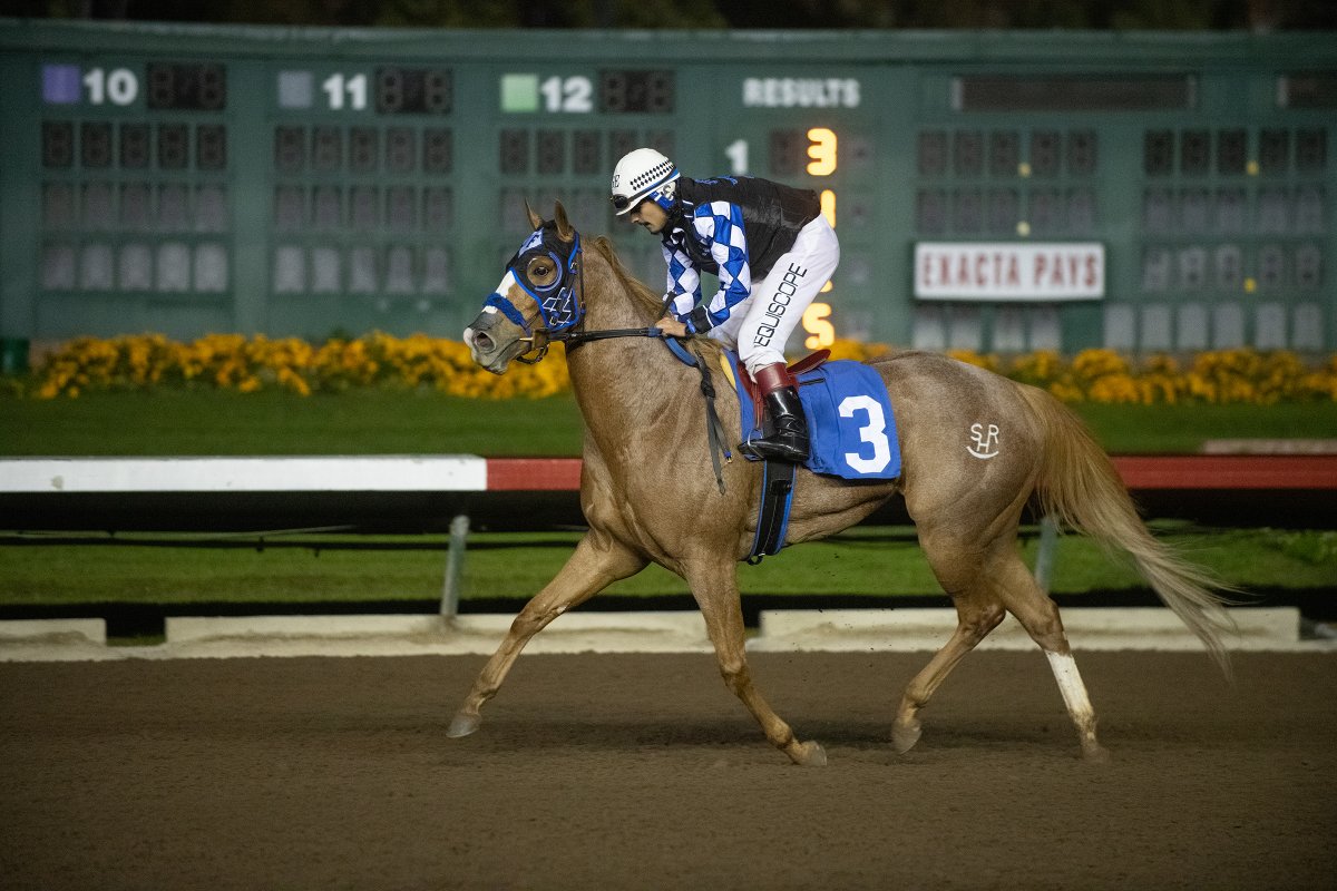 losalracing's tweet image. The A Ransom Handicap goes to the filly Eyesa Wagon My Tale. In the winner's circle, the legendary AQHA Hall of Fame horseman G.R. Carter presented the trophy to the winning connections.