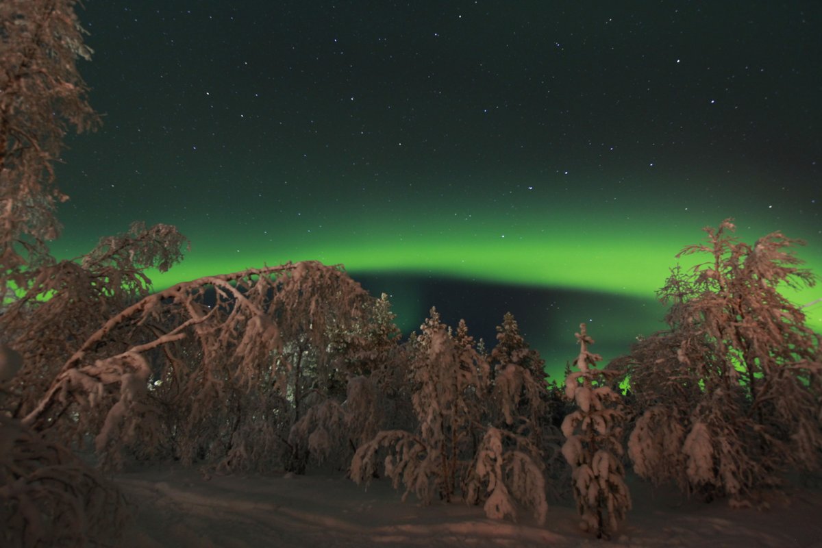 Transun's tweet image. What's your idea of the perfect Christmas tree? 🎄 You'll find our favourites in True Lapland. Instead of baubles and tinsel, they are heavy with snow and sparkling with ice crystals. ❄️ AND, on the best nights, these trees are illuminated from above by the Northern Lights! 🌌