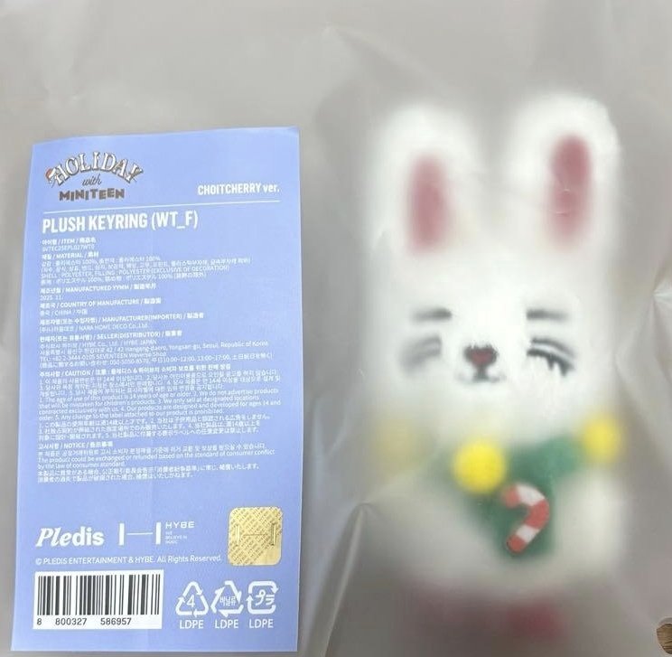 セブチ エスクプス Ornament Keyring CHOITCHERRY SEVENTEEN MINITEEN