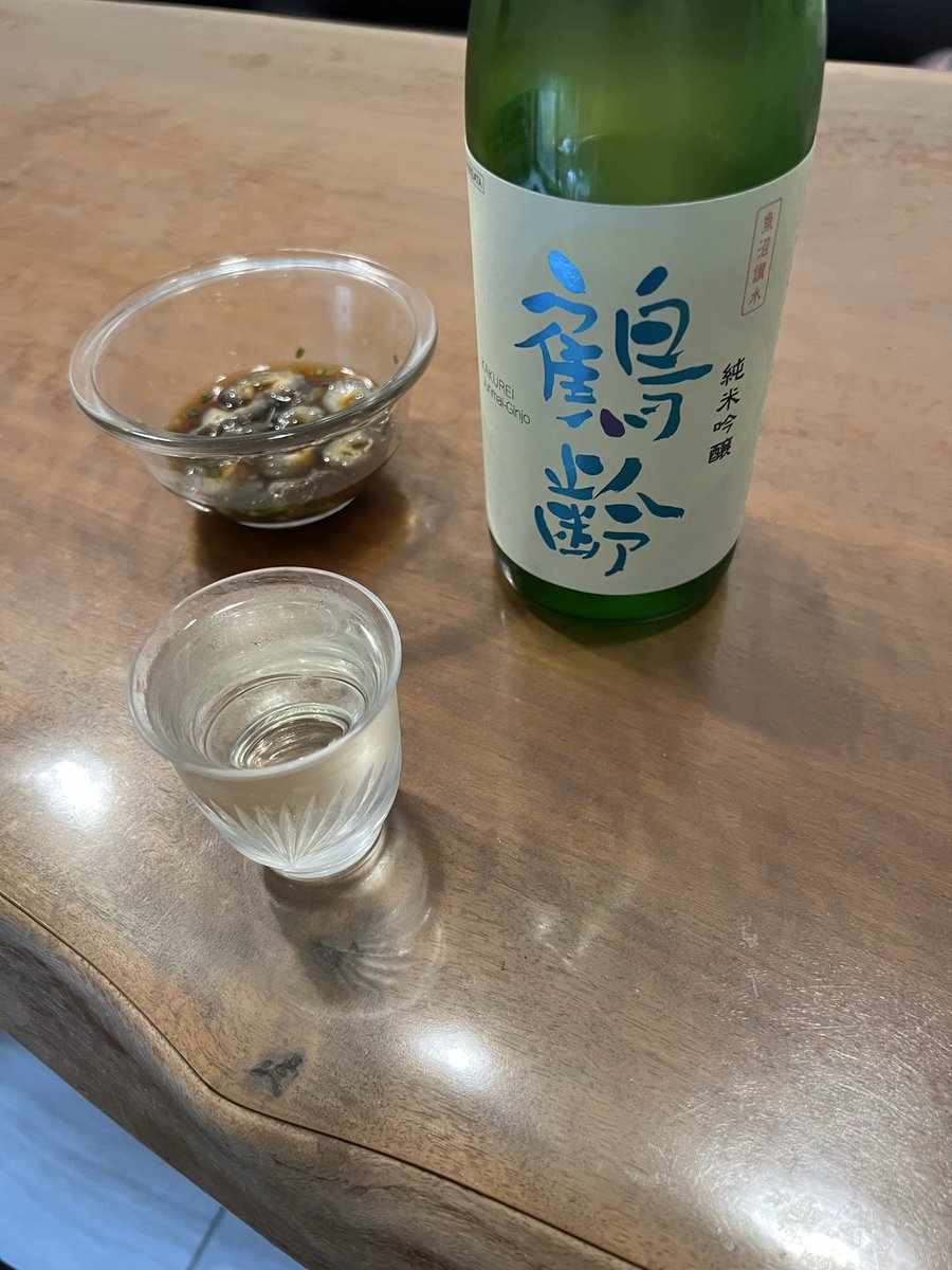 お疲れ様です🍶<a href="/kame_yamo_52ya/">ゴッツ52xx（亀と守宮のゴッツ家）</a> cbハラガケガメも立派になってきました😊