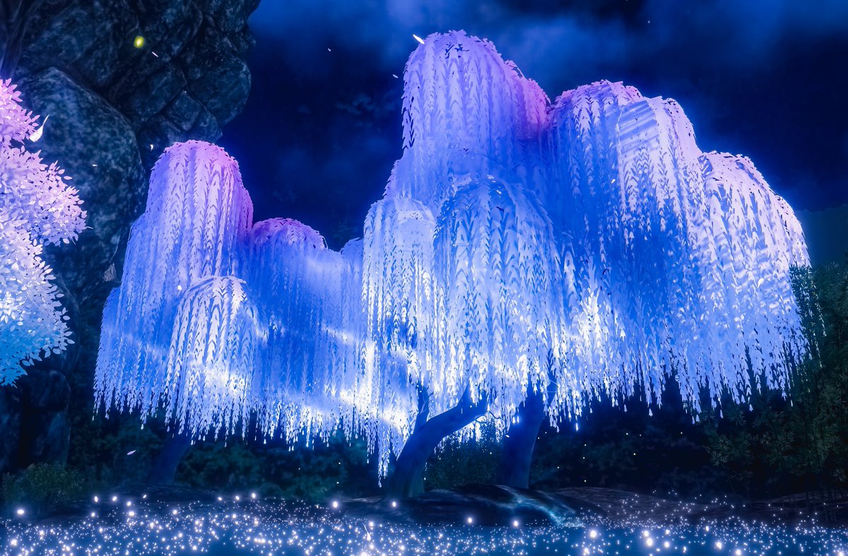 Neomance【VR Photographer】 tweet media