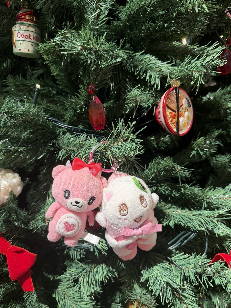 るにゃ🎀 (@nyaax274xx) / Posts / X