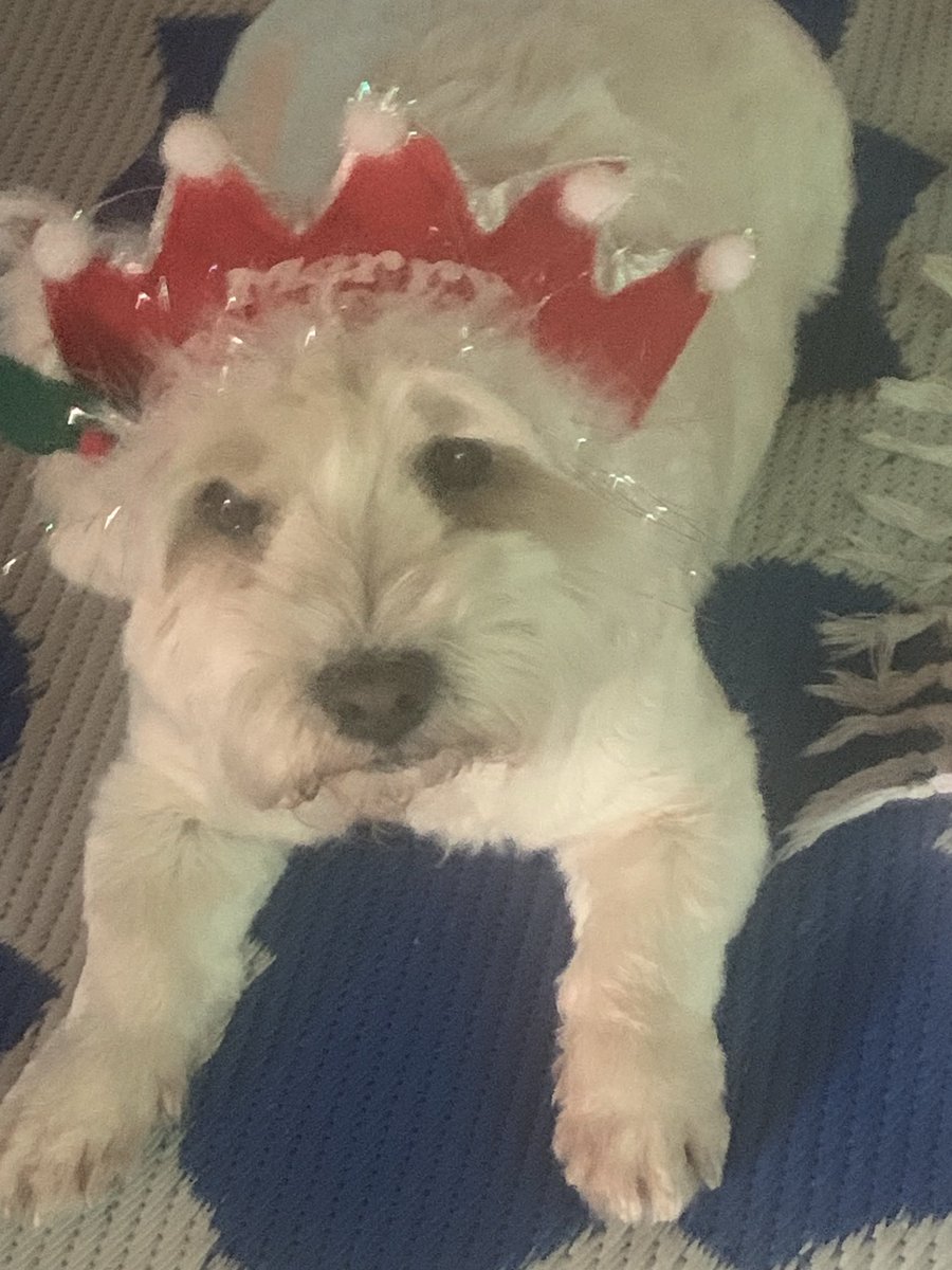 SILLY Season silly me