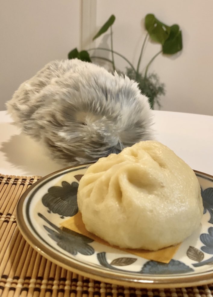 Asa (@kan_ami_ze_ami) / Posts / X