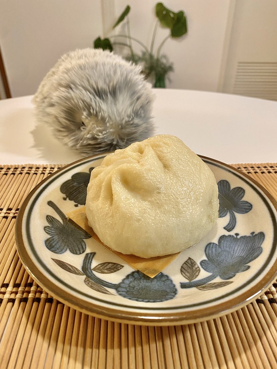 Asa (@kan_ami_ze_ami) / Posts / X