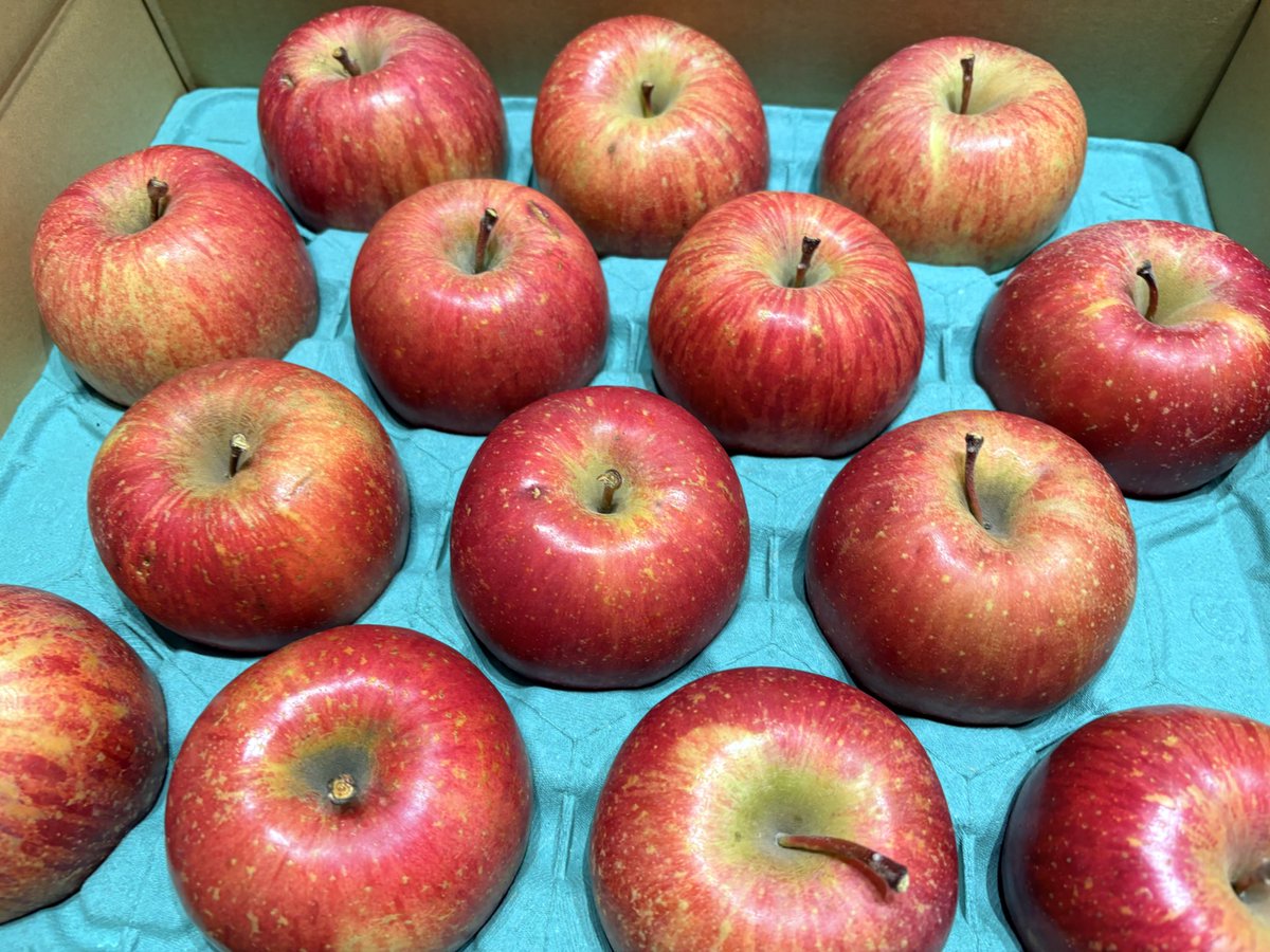 東北だから！？発送の連絡からもう外崎りんご届いたーーー