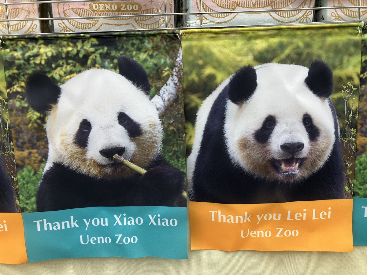 上野動物園のありがとうシャオシャオ&レイレイのフラッグ、シャオレイ