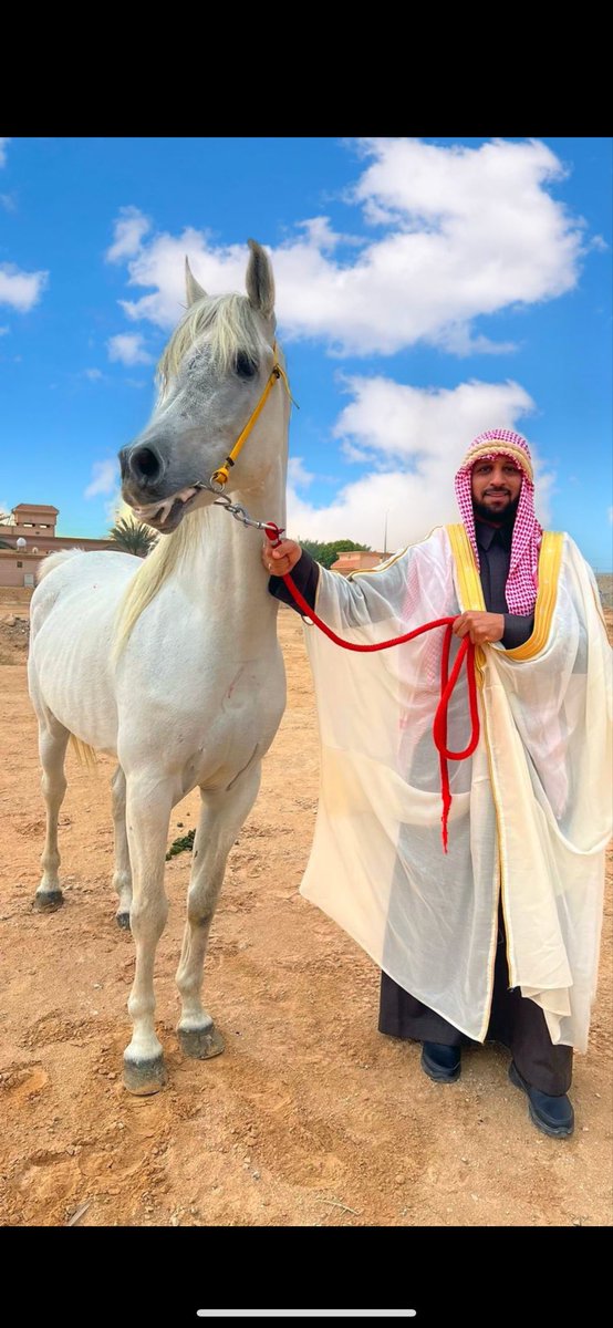 <a href="/AzizbagBag/">عبدالعزيز أحمد بغلف🇸🇦</a> <a href="/Fwn333/">أ/فاطمة بنت أحمد</a> <a href="/saria012/">محمد سارية</a> <a href="/alzir935/">سالم الغلاب</a> ابشر بسعدك ياأبواحمد انت أشر بس وشف بتلقاني والا لا 😍😍😍😍😍😍 انا وحصاني جاهزين 💪🏻💪🏻💪🏻