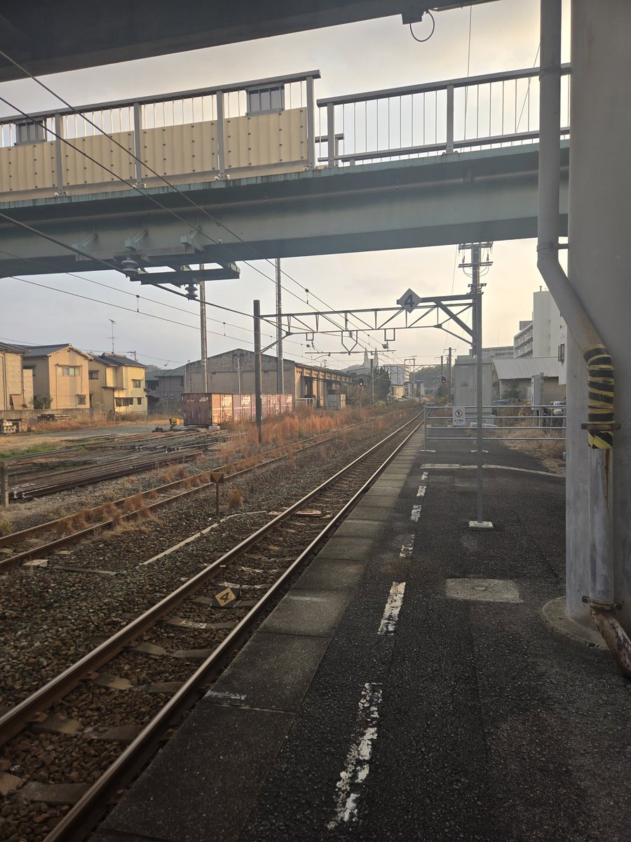 はて、連チャン忘年会だ！