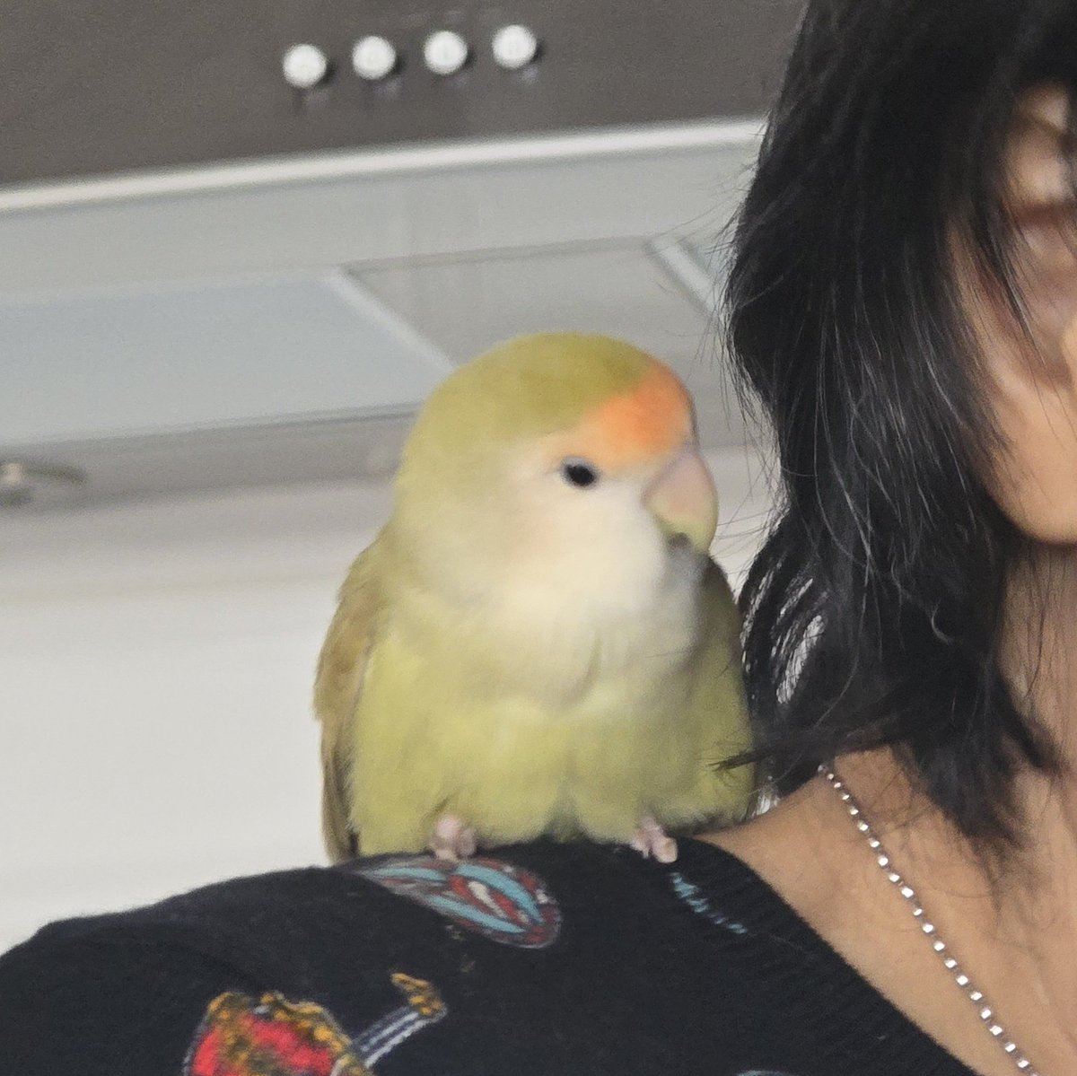 율무=엄마 껌딱지💕
겨울이 되서 털바지에서 털코트로 갈아입었어요🤍