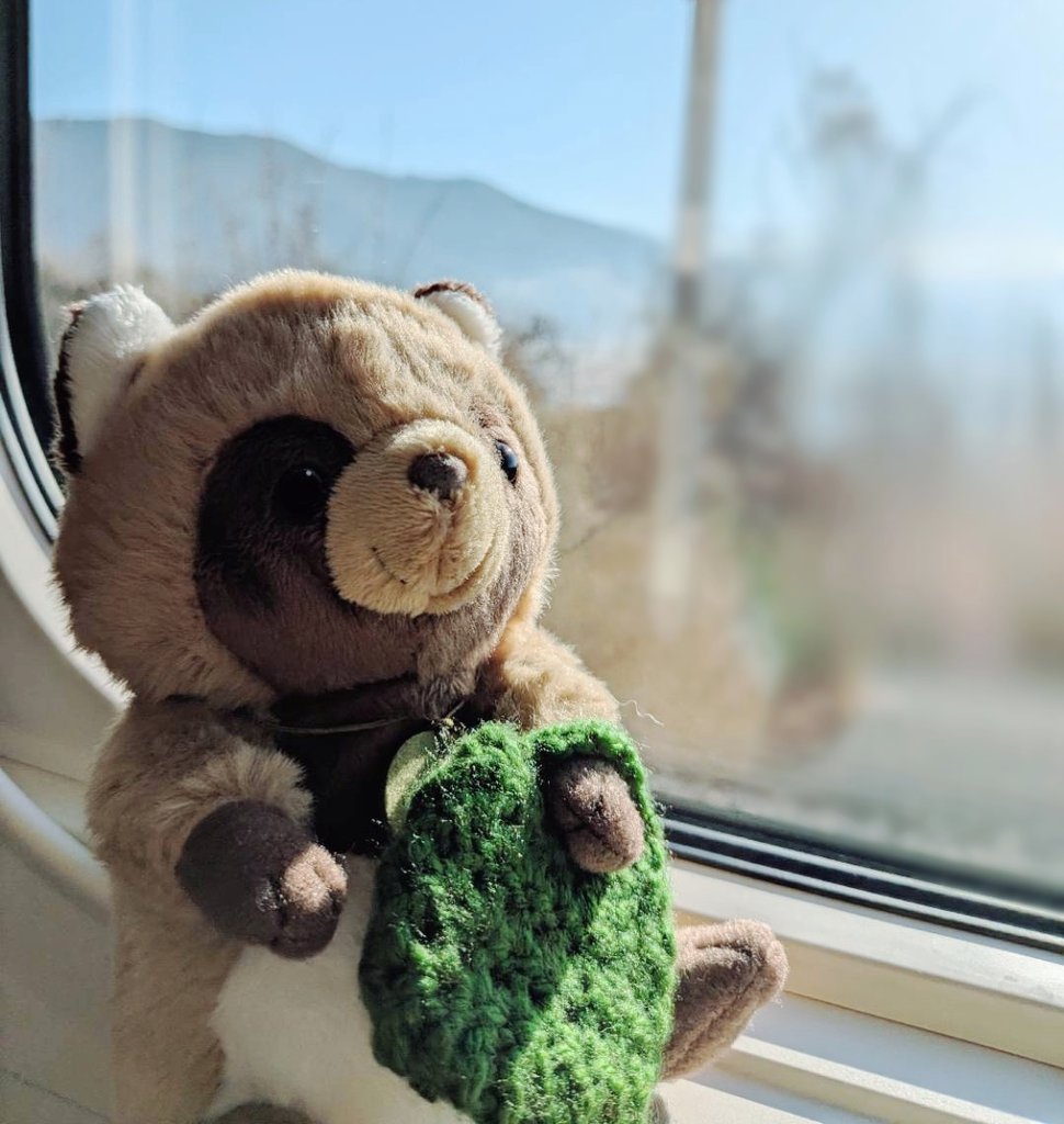 タヌキといっしょにおでかけ🚄✨