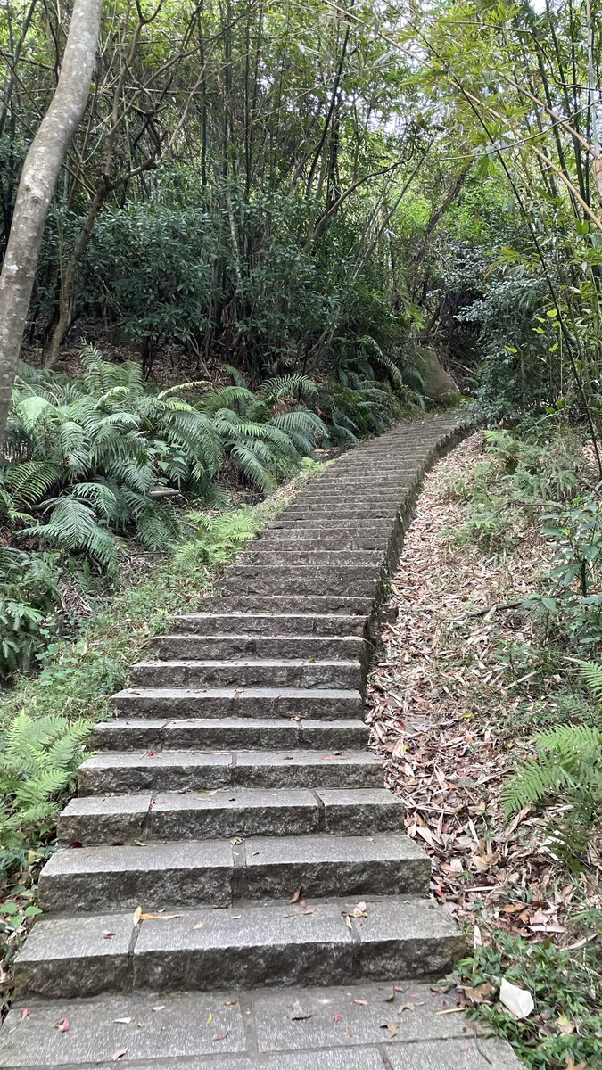 見てください、この急な階段！(°ㅂ°)