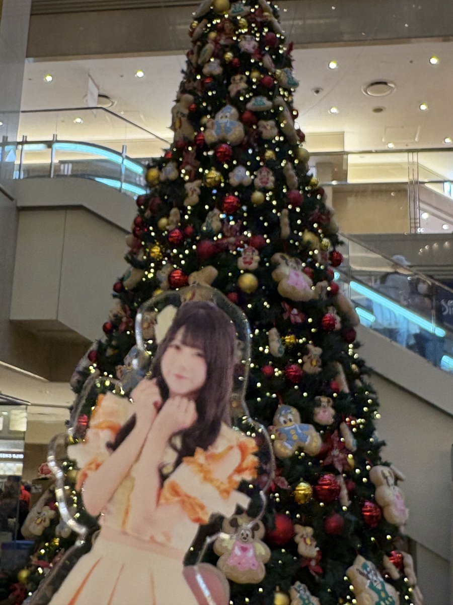 べーやん🐨 (@beeeyaaaannnn) / Posts / X