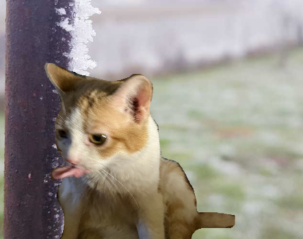 trackingvoid tweet media