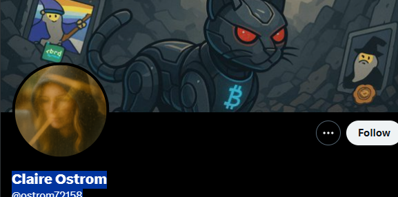 比特幣不一樣 tweet media