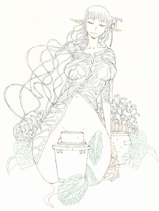 樹海の村で民宿を営むつけもの名人のエルフのふな子さんです。ここまで描いたところで風邪に倒れてしまいました。二冊目の新刊は次の機会に…。美玖本はいっぱいありますからね。 