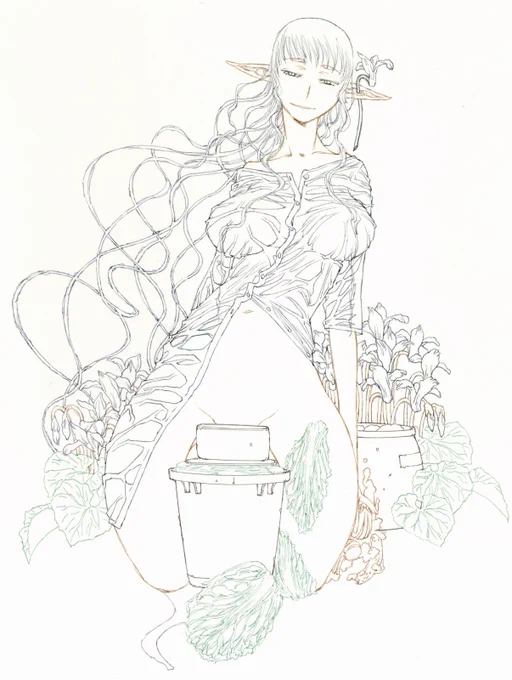 樹海の村で民宿を営むつけもの名人のエルフのふな子さんです。ここまで描いたところで風邪に倒れてしまいました。二冊目の新刊は次の機会に…。美玖本はいっぱいありますからね。