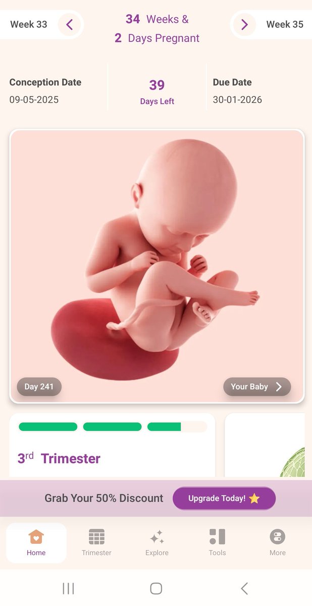 جدی جدی ۳۹ روز مونده؟
شایدم کمتر؟
چقدر زود گذشتتتتت...🫠🐣