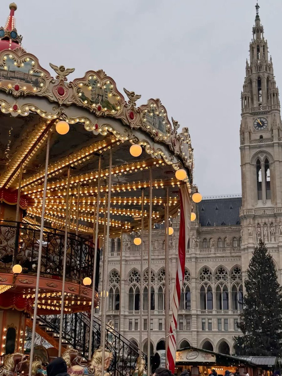 Diorgirlx's tweet photo. christmas in Vienna https://t.co/5Xhys9u61n