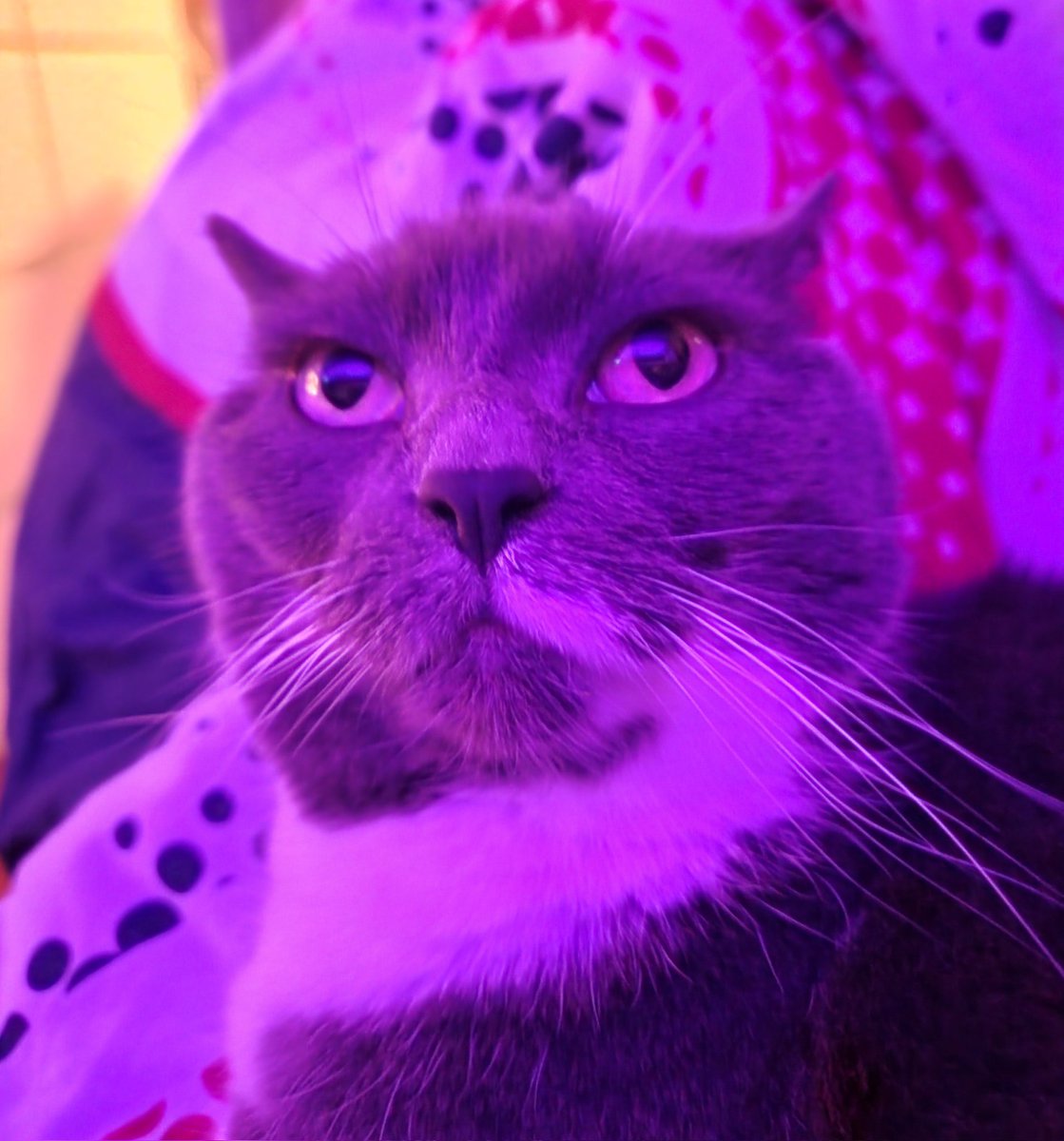 Oui je suis rentrée pims va falloir t'y faire