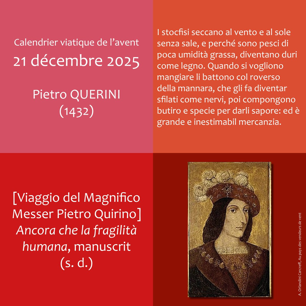 Alessandra Orlandini Carcreff tweet media