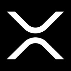 rtstIJ's tweet image. XRP ETF の最新動向