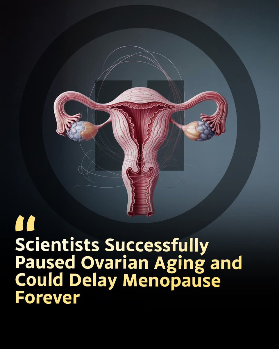 ShiningScience's tweet image. Women may soon choose when menopause happens. Or if it happens at all.

A drug called Rapamycin slowed ovarian aging by 20% in human trials. It preserves eggs, extends fertility, and prevents health risks like osteoporosis. The biological clock just got an off switch.

Source:…