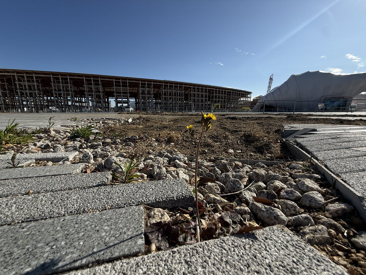 万博会場にログイン！65回目！
大阪まで用事で来たついでに。
大屋根リングの解体方法が場所によって違うのね。
いのちのあかしや、サウジアラビアなどいくつかのパビリオンは、まだそのまま。
一方で更地になったパビリオンも。

→返信に続きます。
#万博 #EXPO2025 #大阪・関西万博 