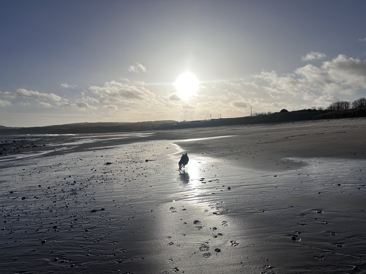 KinlochSusan's tweet photo. Beach day #memories #december21st #wintersolstice π΄σ §σ ’σ ³σ £σ ΄σ ΏβοΈποΈ https://t.co/hBCYHRKd6B