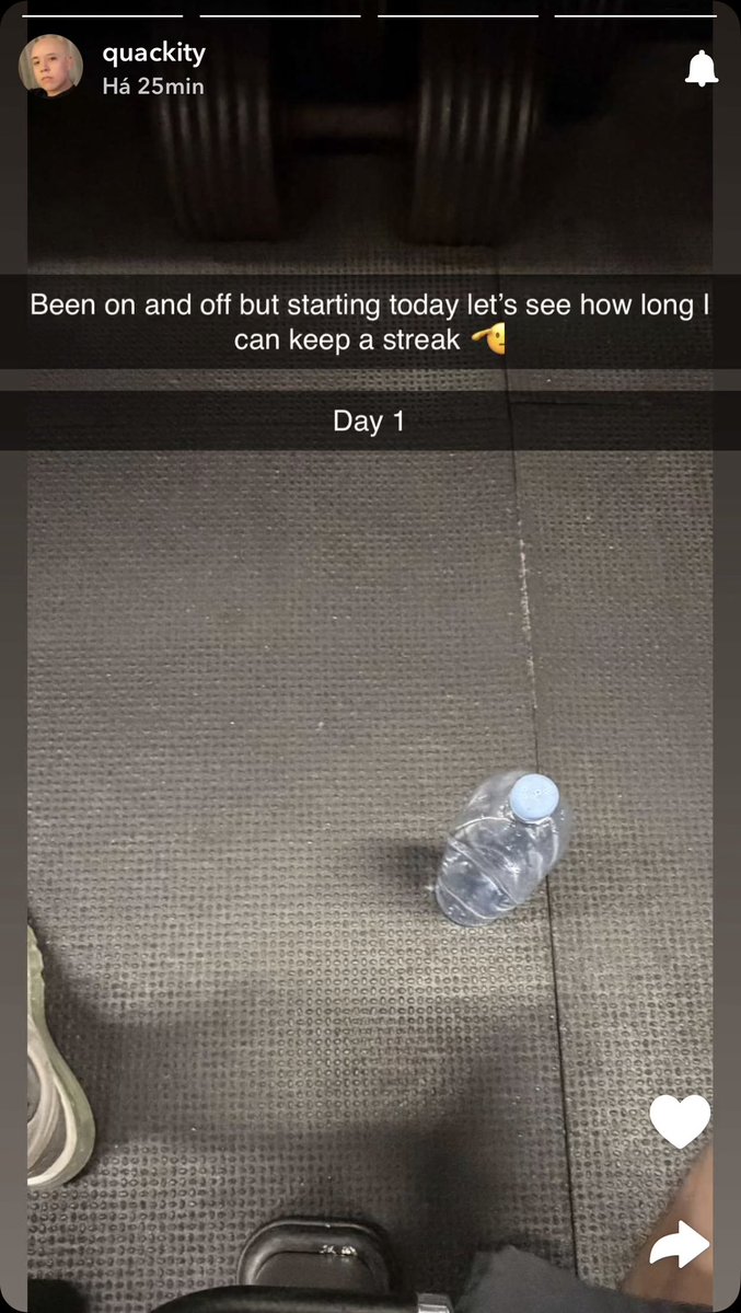 Quackity posted on his Snapchat story!