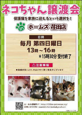 お知らせ】 ネコちゃん譲渡会 12月28日（日） 13:00-16:00(受付15:30
