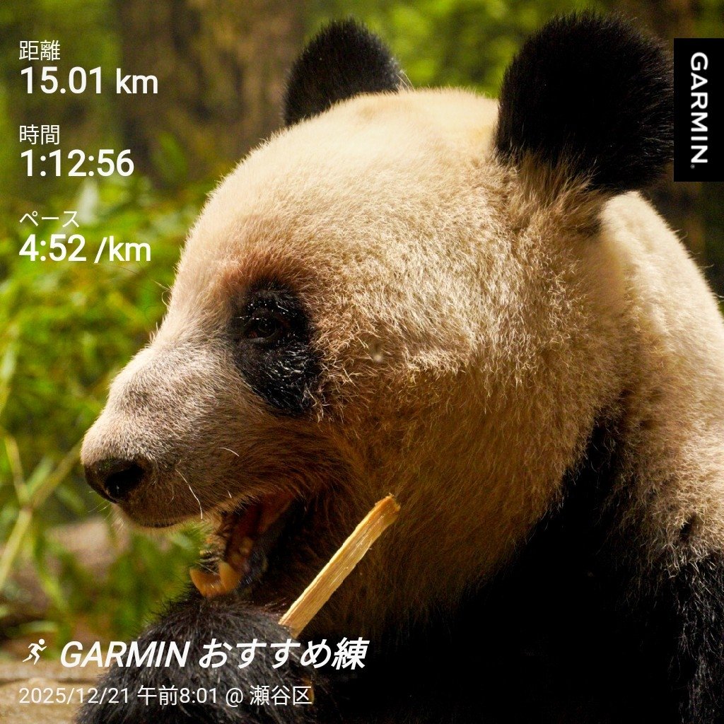 朝ラン記録 今日はGARMINおすすめ練で15km🏃 雨予報で走れないかと思っ