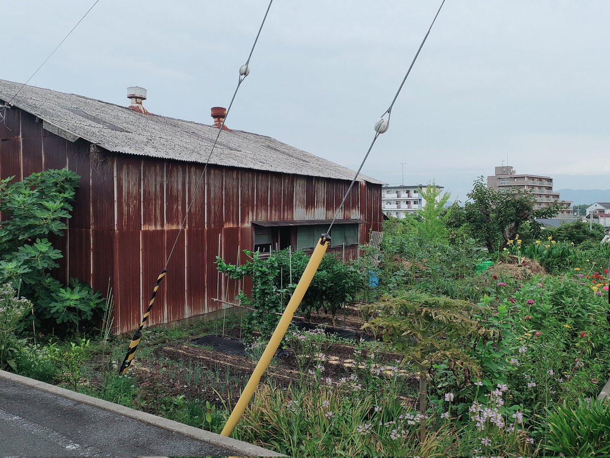 winterpainter2's tweet image. 